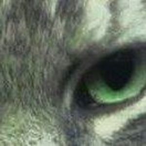 Meet your Posher, Desiree